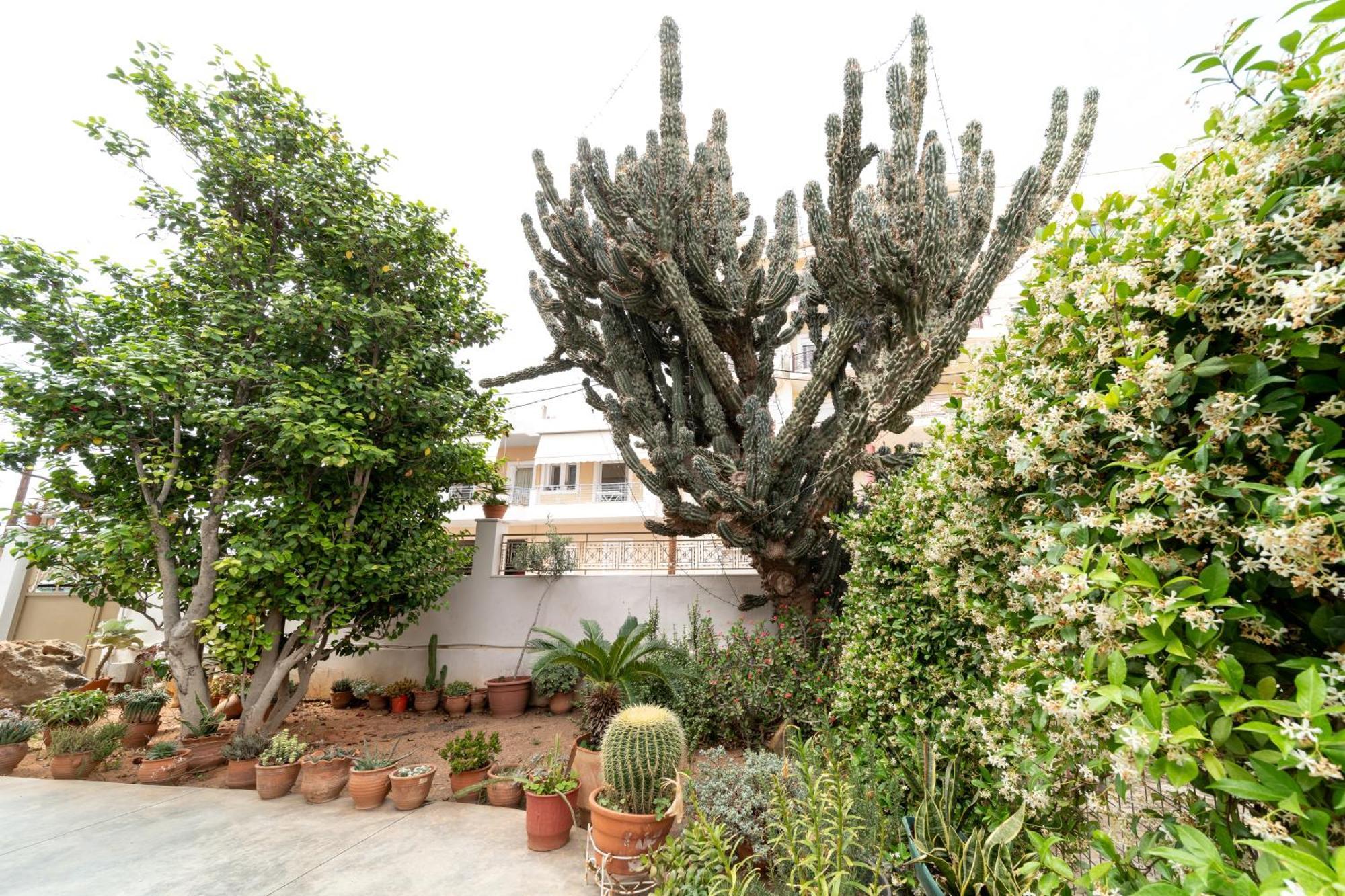 Cactus - Blooming Garden Apartments Kalamáta Kültér fotó